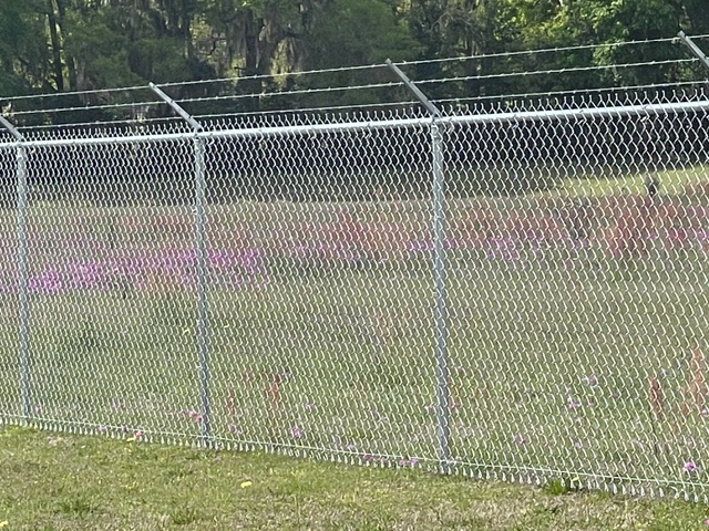 chain link wire fence