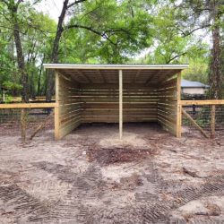 lean to shelter